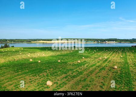 Luftaufnahme von runden Heuballen auf einem Küstenfeld mit Blick auf die Bucht. Hochwertiges 4k-Material Stockfoto