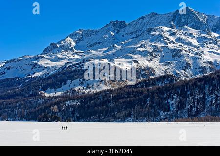Fußgänger überquert den zugefrorenen Silsersee, Corvatsch Massiv Hinter, Sils im Engadin, Graubünden, Schweiz / Fußgänger überqueren den zugefrorenen Silsersee, Silsersee, Corvatsch Massiv im Hintergrund, Sils im Engadin, Graubünden, Schweiz Stockfoto