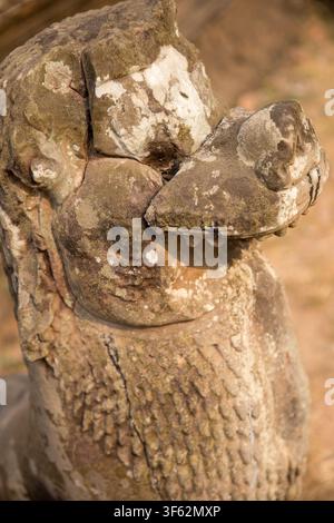 Eine Nahaufnahme im Profil einer stark verwitterten steinernen Wächterlöwenstatue (Singh), die mit Moos und Flechten bedeckt ist, im Tempel Prasat Kravan in Angkor, Cambo Stockfoto