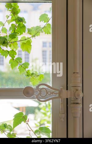Verzierter weißer Fensterriegel mit grüner Efeu, die durch sonnenbeschienenes Glas gesehen wird Stockfoto