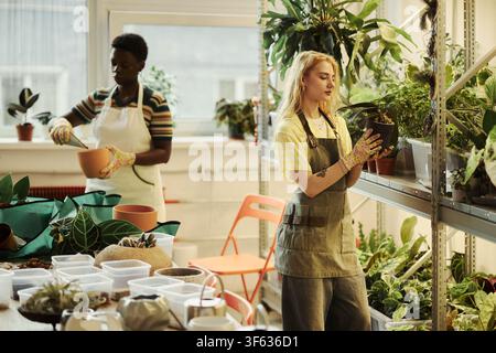 Verschiedene junge Frauen arbeiten in einer Baumschule, eine kaukasische Frau hält eine Topfpflanze, während eine afroamerikanische Kollegin im Hintergrund arbeitet, ideal für das Marketing kleiner Unternehmen Stockfoto
