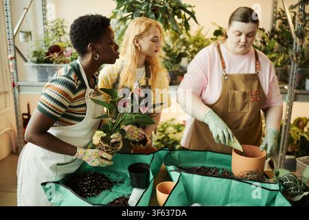 Verschiedene junge Frauen arbeiten in einer Pflanzschule, sie setzen Zimmerpflanzen zusammen ein. Das Bild stellt Teamarbeit und städtisches Gärtnern dar, geeignet für das Marketing von Kleinunternehmen Stockfoto