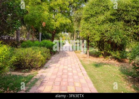 Ein friedlicher steingepflasterter Weg windet sich durch einen üppigen grünen Park mit Bäumen und Sträuchern an einem sonnigen Tag. Stockfoto