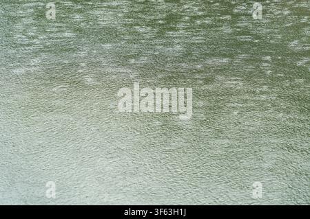 Regenwasseroberfläche im Vollformat Stockfoto