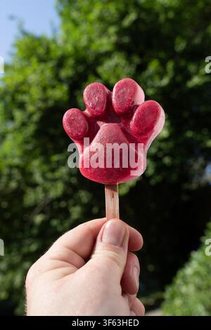 Hand hält selbstgemachte pfotenförmige Eiscreme für Haustiere, draußen in der Natur Stockfoto