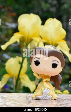 Funko-Pop-Actionfigur der Disney-Prinzessin Belle aus dem Animationsfilm Die Schöne und das Biest. Puppe steht vor gelben Schwertlilien. Stockfoto