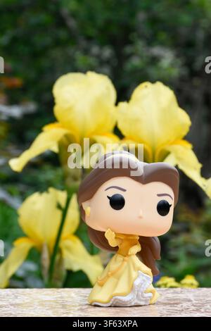 Funko-Pop-Actionfigur der Disney-Prinzessin Belle aus dem Animationsfilm Die Schöne und das Biest. Puppe steht vor gelben Schwertlilien. Stockfoto