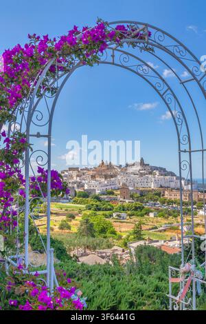 Blick auf das historische Zentrum von Ostuni, eingerahmt von einem blühenden Bogen, Provinz Brindisi, Apulien, Italien Stockfoto