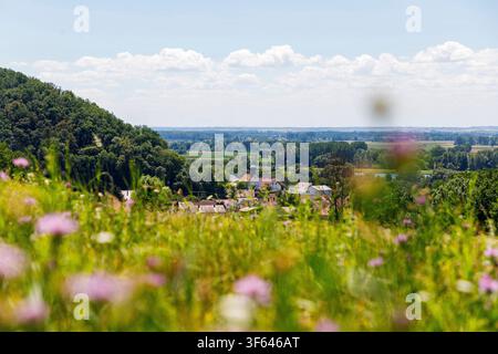 Sulzbach nahe Donaustauf, Oberpfalz, Bayern, Deutschland; Blick auf die Stadt mit der befestigten Kirche St. Martin Stockfoto