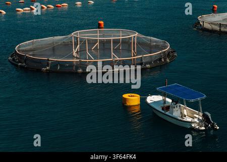 Nahaufnahme eines schwimmenden Aquakultur-Käfigs, der in ruhigen Gewässern der Adria verankert ist. Moderne Fischzucht-Infrastruktur in einer friedlichen Küstenbucht. Stockfoto