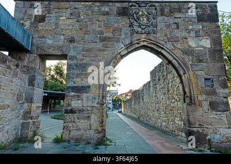 Historisches Steintor mit spitzem Bogen und heraldischem Wappen, das Teil einer alten befestigten Stadtmauer bildet. Stockfoto