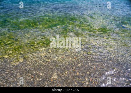 Kristallklares flaches Seewasser zeigt einen bunten Stein-Kiesboden mit sanfter Wellenreflexion unter hellem Tageslicht an einem heißen Sommertag. Stockfoto