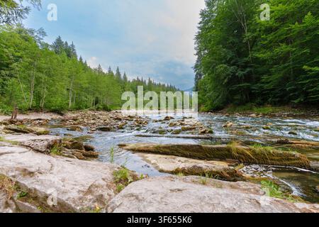 Unberührter Gebirgsfluss fließt durch das felsige Bett der Ammerschlucht im Scheibum-Gebiet Bayerns, Deutschland, flankiert von dichtem Kiefernwald unter einem Stockfoto