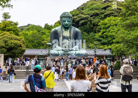 Kamakura Japan - 22. Juni 2026 - Bronzestatue des Amida-Buddhas im Kotoku-Tempel Stockfoto