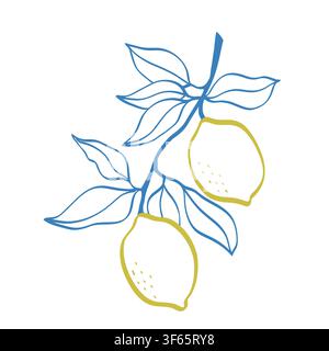 Handgezeichnete Strichzeichnung einer Zitrone. Doodle-Fruchtillustration. Stock Vektor