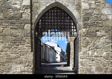Blick durch den gotischen Spitzbogen des Krakauer Tors, eingerahmt von gelben Steinmauern, in Richtung der Straße in Szydłów, Polen. Stockfoto
