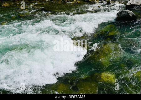 Eine Nahaufnahme, die turbulente Wildwasser-Rapidien einfängt, die kraftvoll über untergetauchte grüne und braune Steine in einem klaren Gebirgsfluss schießen. Die dynamische Strömung erzeugt weißen Schaum und Spritzer und betont die Bewegung und Energie des unberührten Naturwassers. Stockfoto