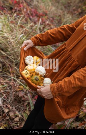 Eine Person in einem rostfarbenen Pullover hält einen Korb gefüllt mit verschiedenen kleinen weißen und orangefarbenen Kürbissen in einem trockenen Feld mit hohem Gras und gefallenen Blättern Stockfoto