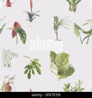 Ein wunderschönes nahtloses Muster mit verschiedenen Aquarell-Botanical-Illustrationen von Zimmerpflanzen auf einem hellgrauen Hintergrund. Stockfoto