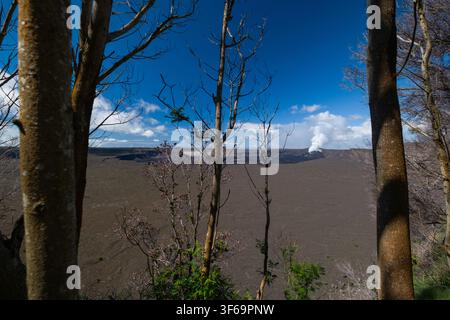Von der Kante des Kīlauea aus aufgenommen, zeigt diese Aussicht das gewaltige Ausmaß des Hawaii-Volcanoes-Nationalparks. Sonnenlicht erhellt ein weites Lavafeld wit Stockfoto