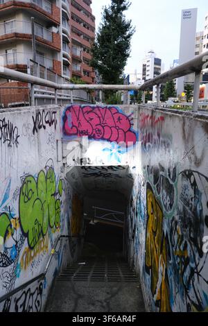 Eine Außentreppen aus Beton, bedeckt mit bunten Graffiti-Tags, die hinunter in einen unterirdischen Fußgängertunnel in Tokio, Japan, führen. Stockfoto