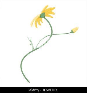 Gelbe Wildblume mit Blütenknospe Vektorillustration auf gebogenem Stängel Stock Vektor
