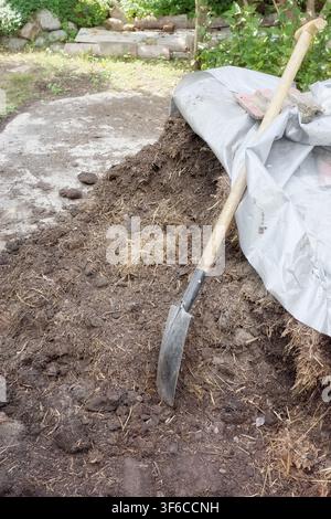 Schaufel, die in einem Haufen Mist steckt, um den Boden im Garten zu düngen, selektive Schärfe Stockfoto