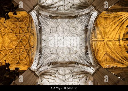 Sevilla, Andalusien, Spanien - 15. Juli 2026: Rippengewölbe der Kathedrale von Sevilla, Andalusien, Spanien Stockfoto