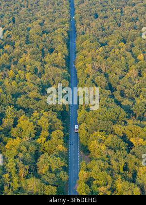 Luftbild einer geraden Straße, die sich durch einen dichten grünen Wald schneidet, mit Autos, die entlang der Strecke in Bantzenheim, Grand Est, Frankreich, fahren. Stockfoto