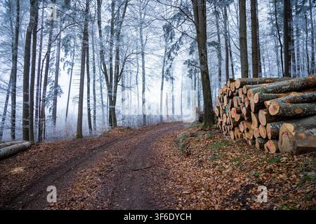Ein gestapelter Holzstapel steht neben einer gefrorenen Waldstraße Stockfoto