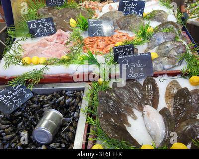 LE TOUQUET-PARIS-PLAGE, FRANKREICH-2. AUGUST 2026: Verschiedene frische Fische, die auf zerstoßenem Eis im überdachten Markt von Le Touquet-Paris-Plage ausgelegt sind Stockfoto