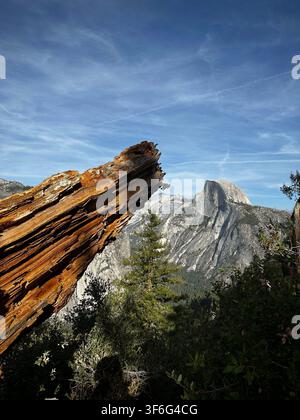 Yosemite-Ansicht mit gefallenem Baum (Yosemite-Nationalpark, Kalifornien, USA) Stockfoto