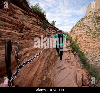 Zion-Nationalpark, Utah, USA – 28. April 2024: Angels Landing-Kette Abschnitt mit Wanderer in grünem Hemd Stockfoto