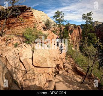Zion-Nationalpark, Utah, USA – 28. April 2024: Angels Landing Trail auf sonnenbeschienenem Sandstein Stockfoto
