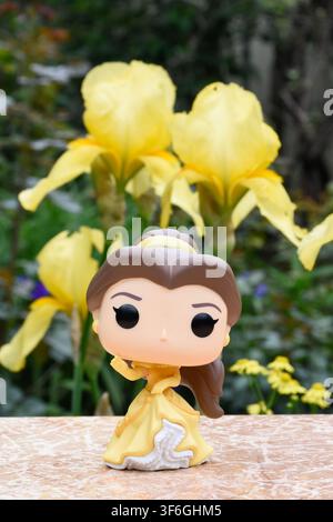 Funko-Pop-Actionfigur der Disney-Prinzessin Belle aus dem Animationsfilm Die Schöne und das Biest. Puppe steht vor gelben Schwertlilien. Stockfoto