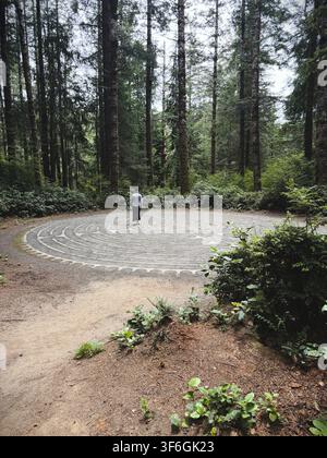 Eine Frau, die allein in einem Labyrinth in einem Wald spaziert. Stockfoto