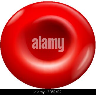 Eine 3D-gerenderte rote Blutkörperchen-Erythrozyten-Vektorillustration isoliert auf einem schlichten weißen Hintergrund. Stock Vektor
