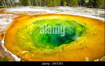Regenbogenfarbenes Wasser füllt den Morning Glory Pool im Yellowstone-Nationalpark und präsentiert seine lebendige geothermische Schönheit Stockfoto