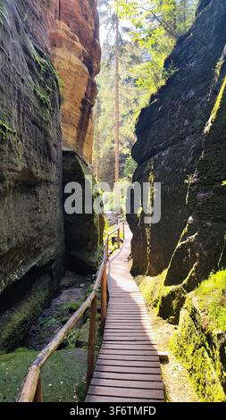Schmaler Holzsteg schlängelt sich durch die hoch aufragenden Sandsteinklippen der Adršpach-Teplice-Felsen in der Tschechischen Republik. Der Weg ist gesäumt von üppigem Grün Stockfoto