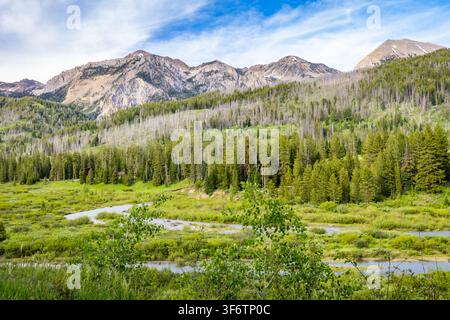 Fluss windet sich durch ein üppiges grünes Tal mit Teton-Berggipfeln, die im Hintergrund aufragen Stockfoto