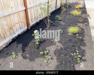 Ein frisch mulchiertes Blumenbeet mit jungen Pflanzen und Gräsern neben einem Holzzaun Stockfoto