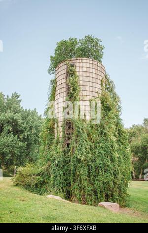Ein altes verlassenes Silo, das mit Weinranken und einem Baum überwuchert ist Stockfoto