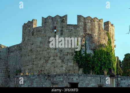 Eine große Steinmauer des Palastes des Großmeisters der Ritter von Rhodos ist in hellem Licht zu sehen. Die Mauer hat viele Steine und einige Pflanzen wachsen Stockfoto