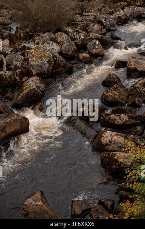 Robuster norwegischer Fluss, der über moosige Felsen in der Wildnis fließt Stockfoto