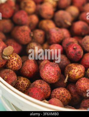 Ein Korb gefüllt mit frischen tropischen Litschifrüchten Stockfoto