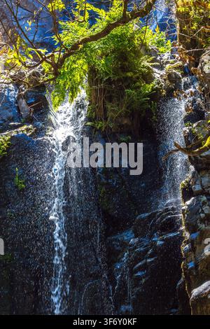 Ein schimmernder Wasserfall stürzt über dunkle, nasse Felsen, die von sonnigem grünen Laub in Zentralportugal eingerahmt werden. Stockfoto