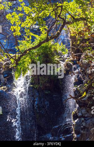 Ein schimmernder Wasserfall stürzt über dunkle, nasse Felsen, die von sonnigem grünen Laub in Zentralportugal eingerahmt werden. Stockfoto