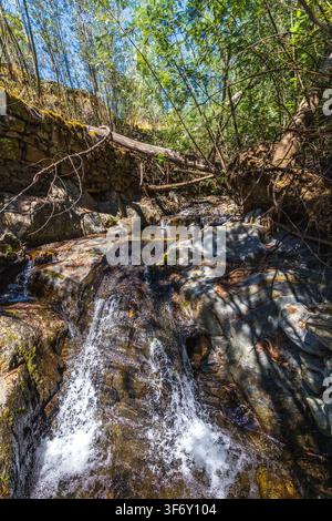 Ein kleiner Bach stürzt über Felsen in einer bewaldeten Bergschlucht mit umgestürzten Baumstämmen in Zentralportugal. Stockfoto