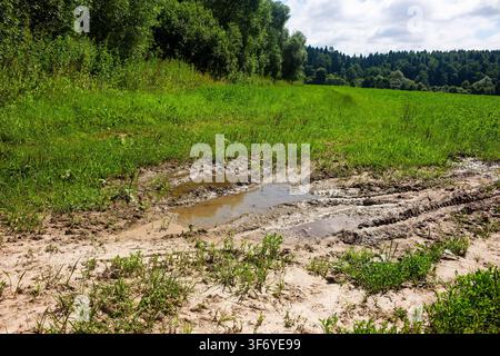 Tiefe Reifenspuren, die mit schlammigem Wasser gefüllt sind, auf einem ländlichen Feldweg, der durch eine lebendige grüne Sommermahd nahe einem dichten Wald unter einem hellen sonnigen S Stockfoto