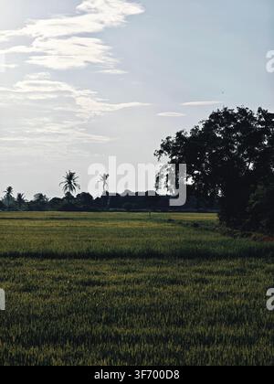 Ein früher Morgen in einer unbekannten Landschaft Stockfoto